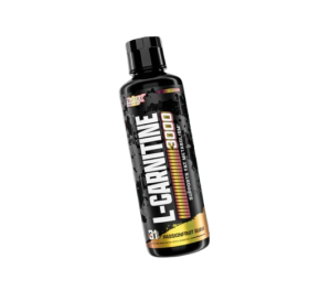 l carnitina bebible