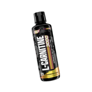 l carnitina bebible